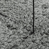 vidaXL Dywan z długim włosiem PAMPLONA, zielony, 120x120 cm