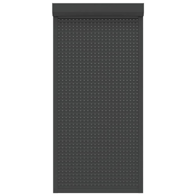 vidaXL Roleta zewnętrzna, aluminiowa, 100 x 210 cm, antracytowa