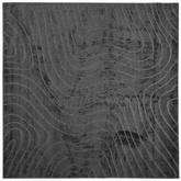 Dywany pokojowe Kwadrat PALMERAS Antracyt 120 x 120 cm