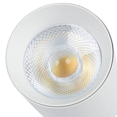 Blaupunkt Reflektor LED 1-fazowy Vision 30W biały z przełącznikiem barwy światła