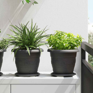 Okrągły Talerzyk Kwiatowy 24 pcs Czarny ? 17,5 x 2 cm