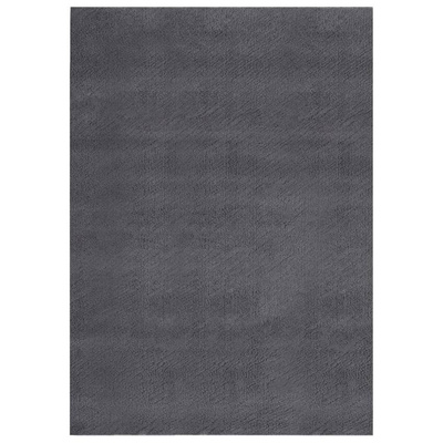 vidaXL Dywan z krótkim włosiem i możliwością prania 120x170cm antracyt