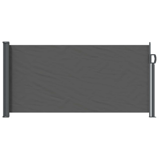 Rozkładany boczny markiz antracytowy 300 x 100 cm Poliester
