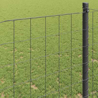 Ogrodzenie Euro 0,6 x 50 m Żelazo pokryte PVC Szary
