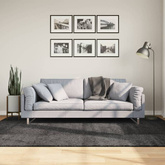 vidaXL Dywan z długim włosiem PAMPLONA, antracytowy, 160x230 cm