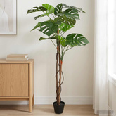 Sztuczna Roślina Monstera zielony 94 x 18 x 170 cm