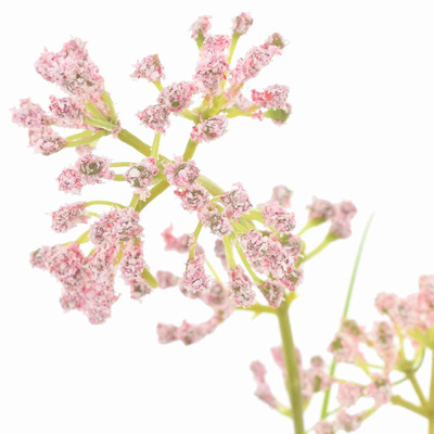 Sztuczna flora 95 cm Z tworzywa sztucznego