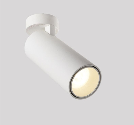 Oprawa nastropowa Abigali 12W 3000K CRI90+ 24st Biała Ściemnialna