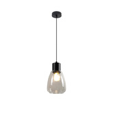 MOLDO lampa wisząca czarny 1x40W E27 klosz bezbarwny 31-35066