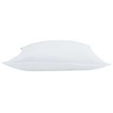 Poduszka z poduszką 2 pcs Biały 60 x 60 cm Pióra