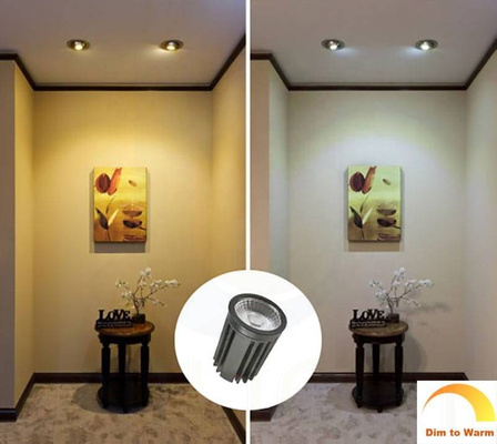 Downlight SPOT LED DALI DT8 CCT Tunable IP44