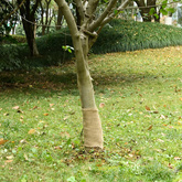 Tkanina jutowa w rolce, 0,25x5 m, 100% juta, 200 g/m?