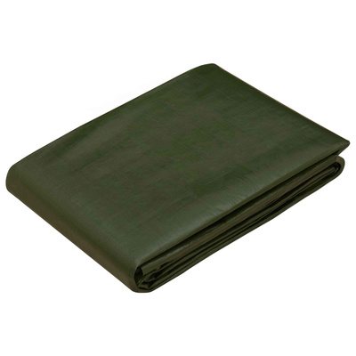 Plandeka z oczkami zielony 8 x 8 m 260 gsm PE