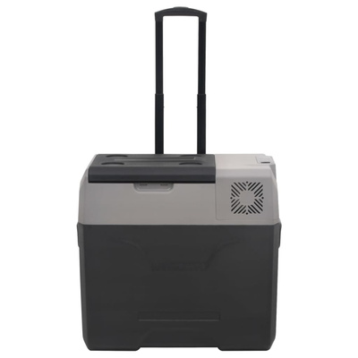 Lodówka na kółkach, z zasilaczem, czarno-szara, 50 L, PP
