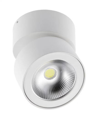 Oprawa oświetleniowa sufitowe natynkowe 15 W zintegrowane źródło LED