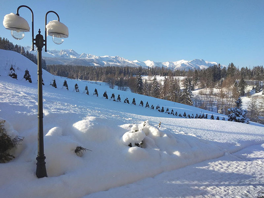 Wysoka zewnętrzna lampa stojąca K-8132 czarna z serii BOSTON KAJA