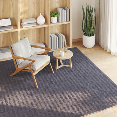Dywany pokojowe SIROLO antracytowy 120 x 120 cm Poliester