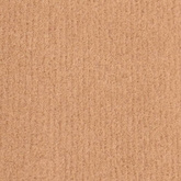 vidaXL Chodnik dywanowy, BCF, beżowy, 100x250 cm