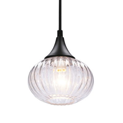 Lampa wiszącza czarna/bezbarwna 145mm Exeter Ledea 50101275