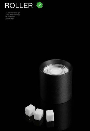 Roller BLACK Mini Downlight 42mm -Najmniejszy na Świecie