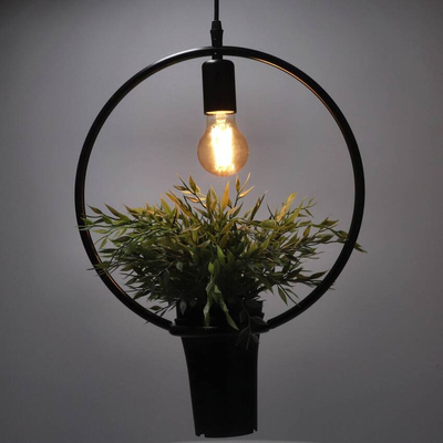 Lampa wisząca z doniczką, MEA, roślina, koło, IP20, E27, EDO777544 EDO Solutions