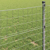 Ogrodzenie Euro 1,4 x 10 m Żelazo pokryte PVC