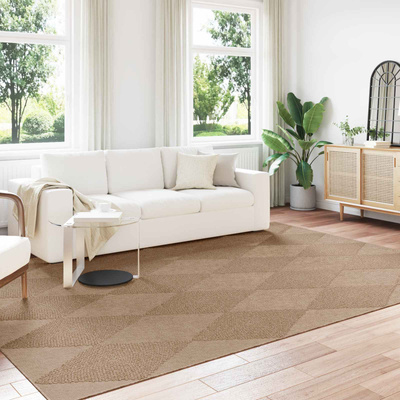 Dywany pokojowe AGIRA Naturalny 340 x 240 cm Poliester