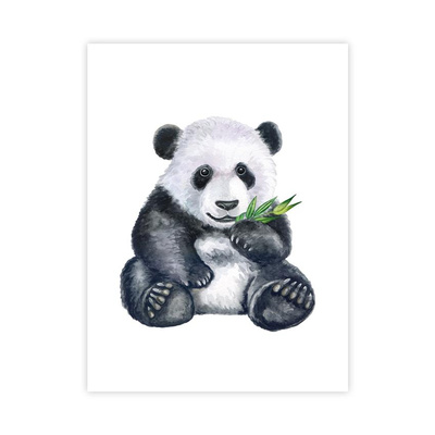 Panda Plakat : Rozmiar - 30x40 cm