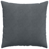 Poduszki na sofę 2 pcs Ciemnoszary 80 x 80 cm