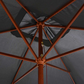 Parasol ogrodowy na drewnianym słupku, 200x300 cm, antracytowy