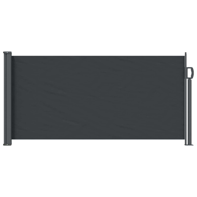 Rozkładany boczny markiz Czarny 300 x 100 cm Poliester