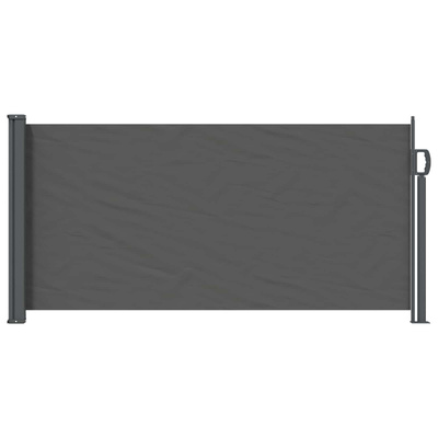 Rozkładany boczny markiz antracytowy 300 x 100 cm Poliester
