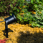 Reflektor ogrodowy wbijany LED HORTUS GU10 IP65 czarny EDO777112 EDO Solutions