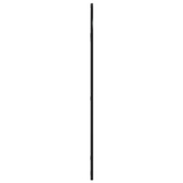 vidaXL Lustro ścienne, czarne, 50x100 cm, zakończone łukiem, żelazo