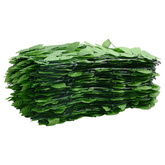 Parawan balkonowy, zielone liście, 500x100 cm