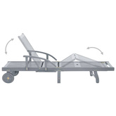 vidaXL Ogrodowy leżak z poduszką, lite drewno akacjowe