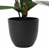 Sztuczna Roślina Orchidei różowy 36 x 10 x 30 cm