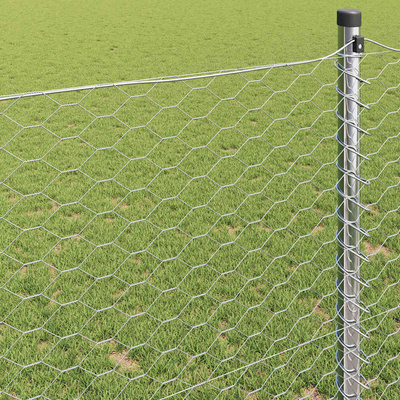 Ogrodzenie heksagonalne 1 x 50 m Stal galwanizowana srebrny
