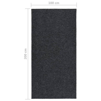 vidaXL Dywanik pochłaniający zabrudzenia, 100x200 cm, antracytowy
