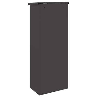 Skrzynka na przesyłki Czarny 44,5 x 29 x 110,5 cm Stal