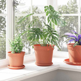 Okrągła doniczka na kwiaty 6 pcs Czerwony ceglasty ? 19 x 16 cm