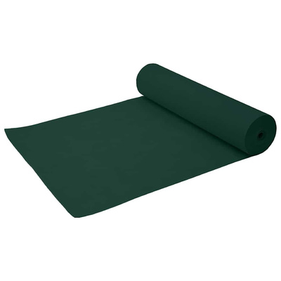 Fleece Ochronny dla Roślin Przed Mrozem Zielony 100 x 1,6 m