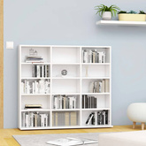 vidaXL Szafka na płyty CD, biała, 102x23x89,5 cm