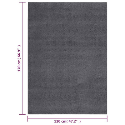 vidaXL Dywan z krótkim włosiem i możliwością prania 120x170cm antracyt