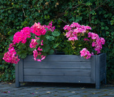 Donica drewniana antracyt W30/S79/D39