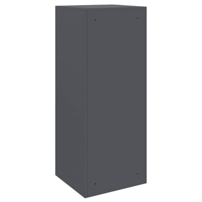 Skrzynka na przesyłki z drzwiami Antracyt 41 x 38 x 103 cm Stal