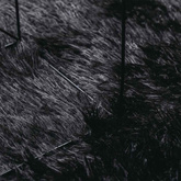 Dywan shaggy z długim włosiem, NAVARRA, czarny, 240x340 cm