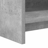 Szafka na buty z przechowywaniem Betonowy szary 48 x 36 x 92 cm