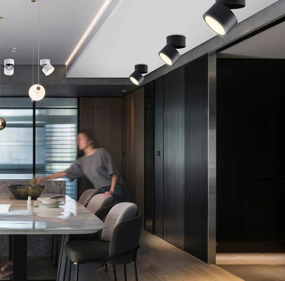 Oprawa natynkowa Abigali 18W CRI90+ 120° Biała WW