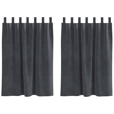 Zasłony zaciemniające 2 pcs Jasnoszary 140 x 140 cm Aksamit
